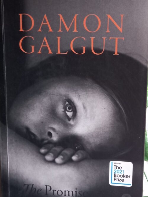The Promise – Damon Galgut secondhand book