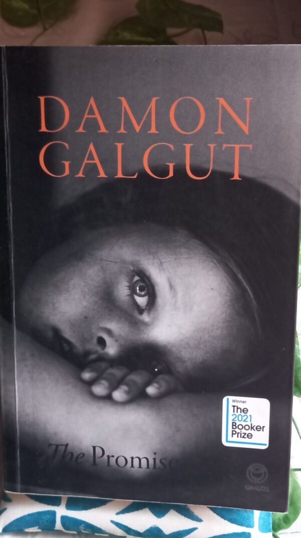 The Promise – Damon Galgut secondhand book