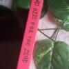 Band Aids For The Dead – Fanie Viljoen secondhand book