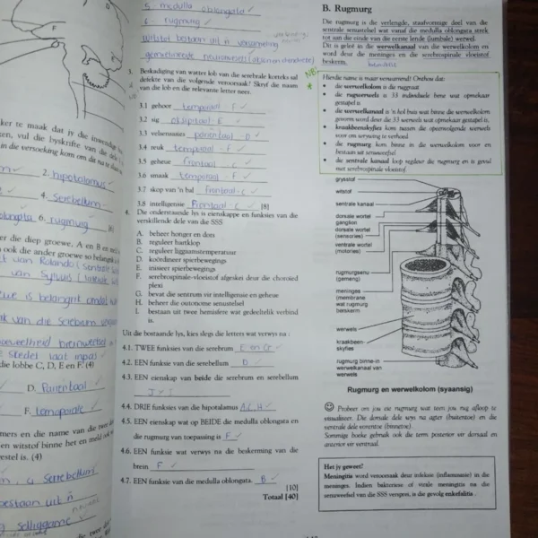 79e9d8 Mind Action Series Fisiologie Handboek Graad 12 – Jen Grogan, Ruth Suter secondhand book
