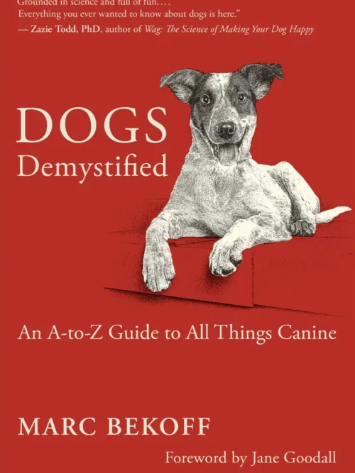Dogs Demystified: An A-Z Guide To All Things Canine – Marc Bekoff secondhand book