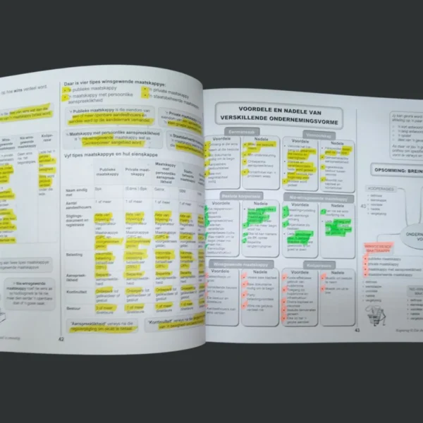 Die Antwoord: Besigheidstudies 3-in-1 Studiegids Graad 10 – Alex Pinnock secondhand book