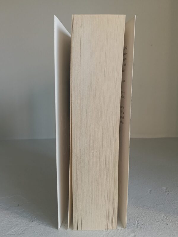 The Dead Zone – Stephen King secondhand book