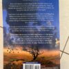 The Hidden Girl – Lucinda Riley secondhand book