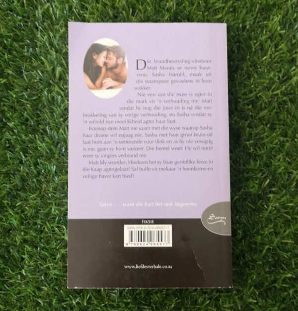 Om Met Vuur Te Speel – Lucille Du Toit secondhand book