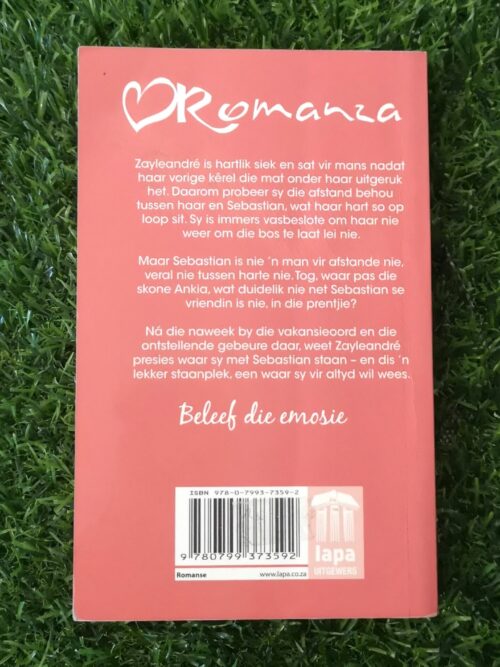 Vier Magiese Woorde – Ria Richards secondhand book