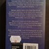 Blood Storm – Colin Forbes secondhand book