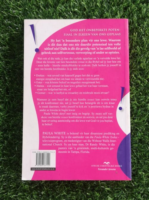 Maak Klaar Daarmee! – Paula White secondhand book