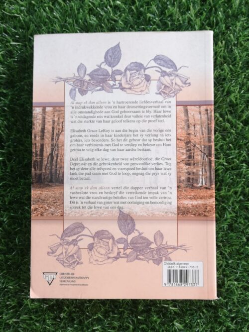 Al Stap Ek Dan Alleen – Jerry B. Jenkins secondhand book