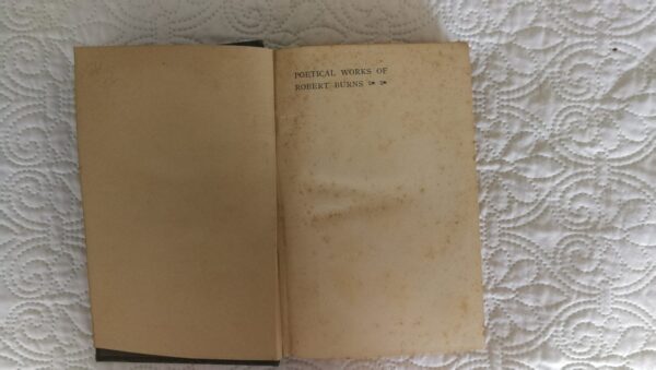 The Poetical Works Of Robert Burns – William Wallace secondhand book