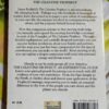 The Celestine Prophecy: An Experiential Guide – James Redfield, Carol Adrienne secondhand book