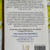 The Celestine Prophecy: An Adventure – James Redfield secondhand book