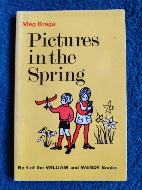 Pictures In The Spring – Meg Braga secondhand book