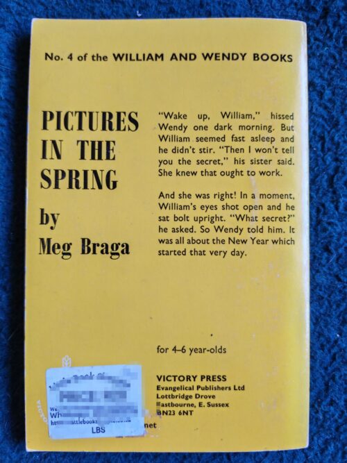 Pictures In The Spring – Meg Braga secondhand book