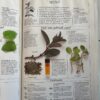 Kruie: Die Natuur Se Medisyne – Penelope Ody secondhand book