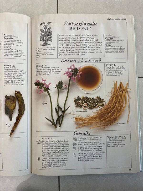 Kruie: Die Natuur Se Medisyne – Penelope Ody secondhand book