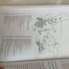 Mountain Biking Trails Of South Africa – Jacques Marais Et Al secondhand book