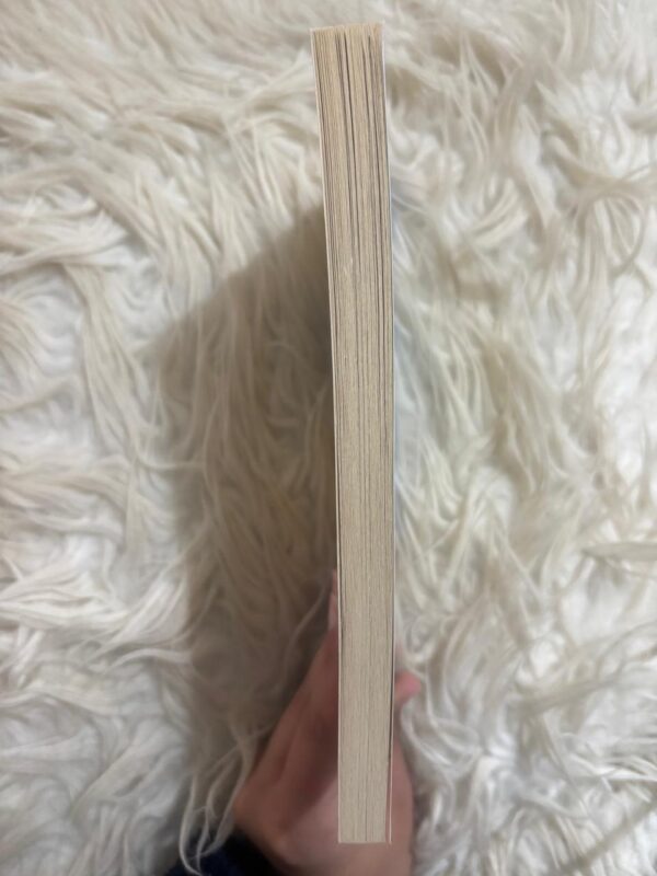 Chestnut Hill: Helping Hands – Lauren Brooke secondhand book