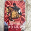 Chestnut Hills: Far And Away – Lauren Brooke secondhand book