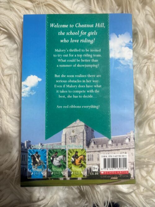 Chestnut Hills: All Or Nothing – Lauren Brooke secondhand book
