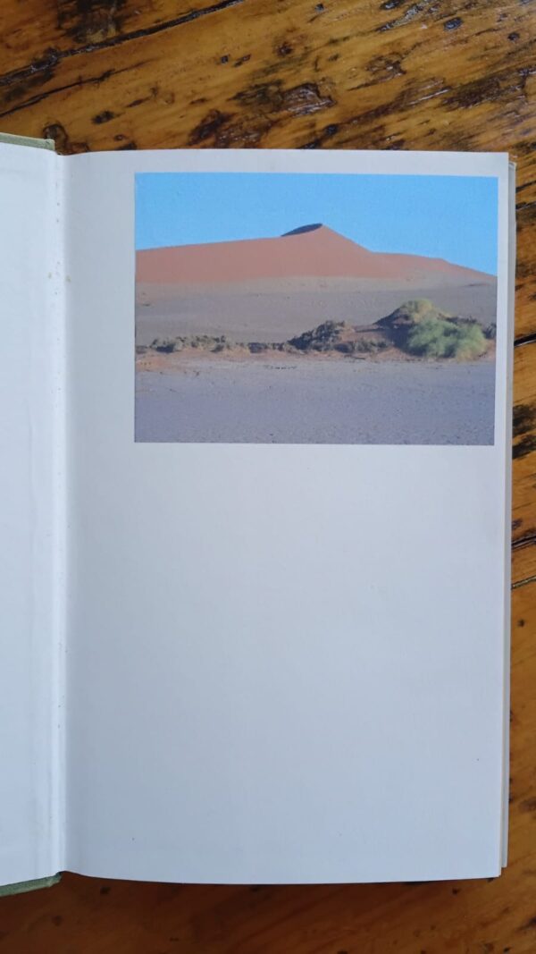 Everyday Phrases: Their Origins And Meanings – Neil Ewart secondhand book
