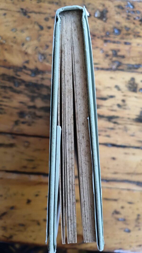 Everyday Phrases: Their Origins And Meanings – Neil Ewart secondhand book