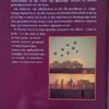 agterblad-riffelkarton Riffelkarton: Projekte En Geskenke – Riette Steenkamp secondhand book