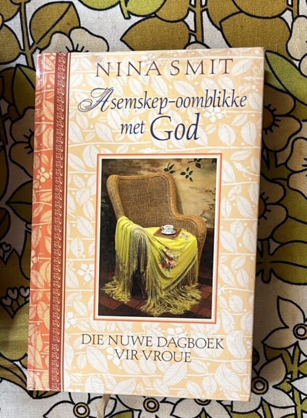 Asemskep-Oomblikke Met God – Nina Smit secondhand book