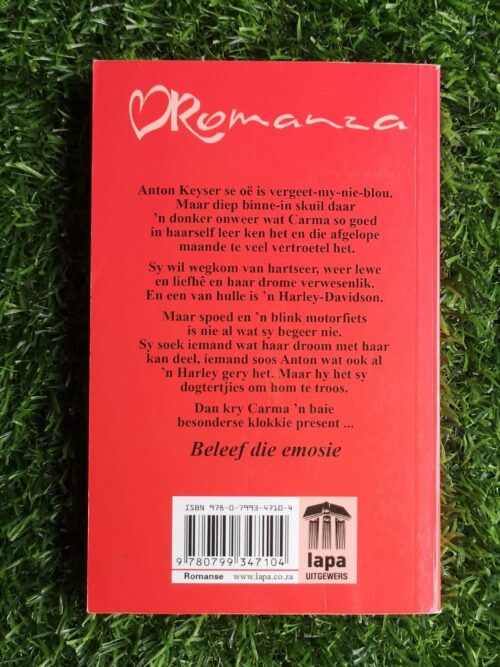 Huweliksklokkies – Helena Hugo secondhand book