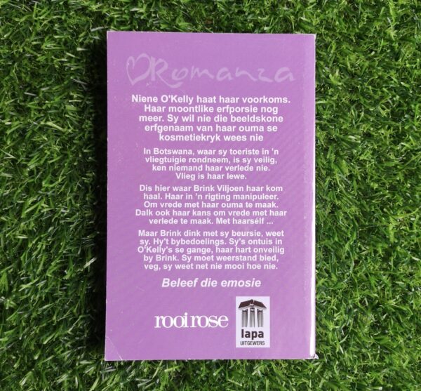 Satynprinses – Rykie Roux secondhand book