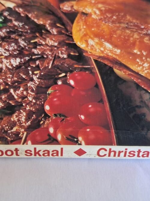 Onthaal Op Groot Skaal – Christa Welgemoed secondhand book