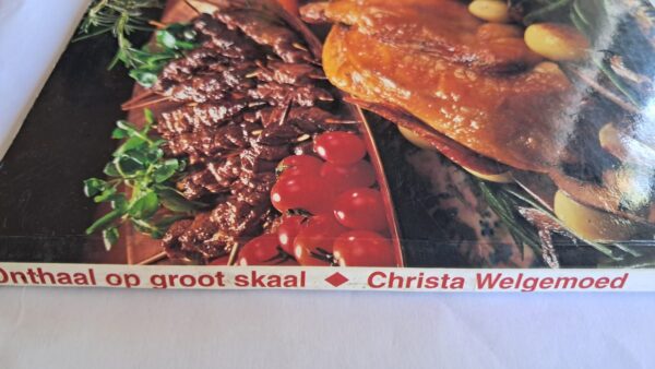 Onthaal Op Groot Skaal – Christa Welgemoed secondhand book